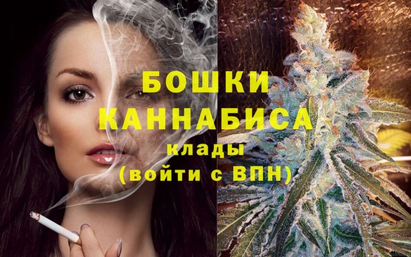 крисы Абдулино