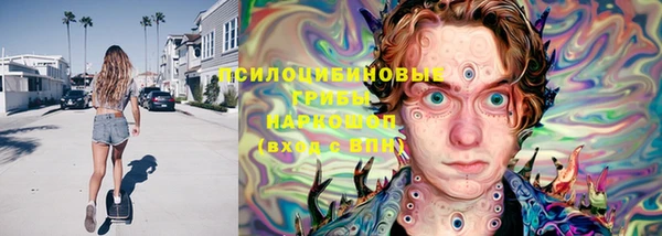 тгк Абинск