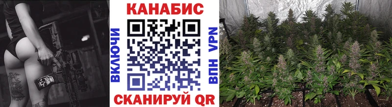 Канабис сатива  что такое наркотик  Грязи 